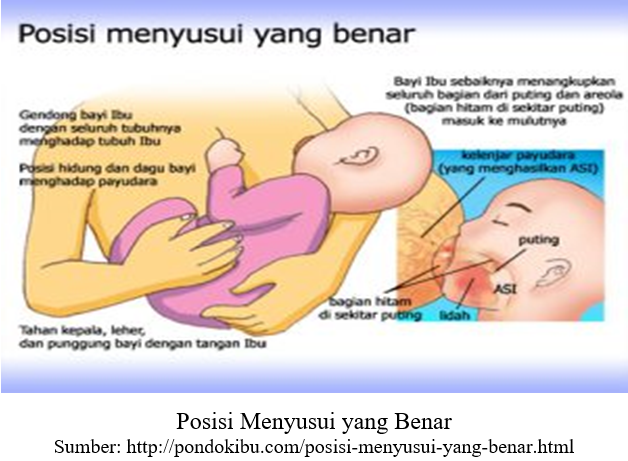 Posisi Menyusui