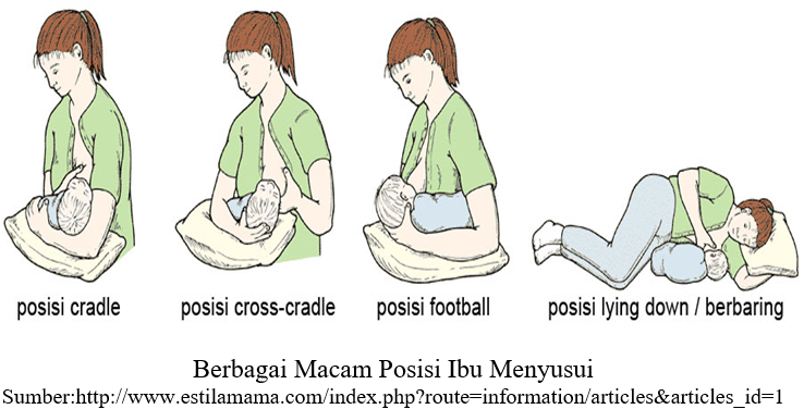 Posisi Menyusui