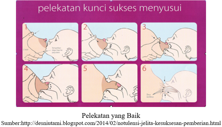 Posisi Menyusui